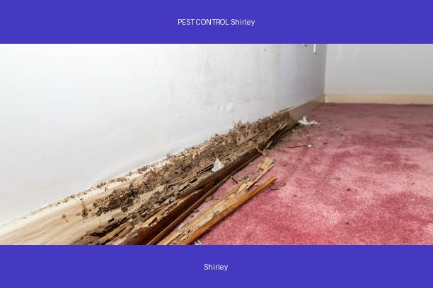 PEST CONTROL Shirley